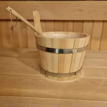 公寓 Mit Sauna In